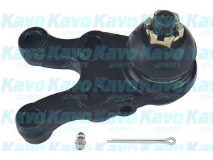 KAVO PARTS SBJ-5506 atramos/vairo trauklė 
 Ašies montavimas/vairavimo mechanizmas/ratai -> Sujungimai -> Atramos/vairo trauklė
MB831038, MR296270