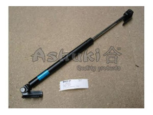 ASHUKI M925-91 dujinė spyruoklė, bagažinė 
 Priedai -> Bagažinė/pakrovimo skyrius
C100-63-620