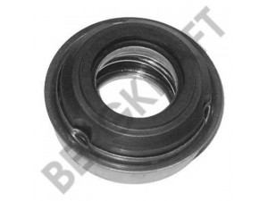 BERGKRAFT BK8806401 veleno sandariklis, vandens siurblio velenas
1270247, 252145, 269044