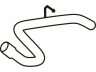 išleidimo kolektorius