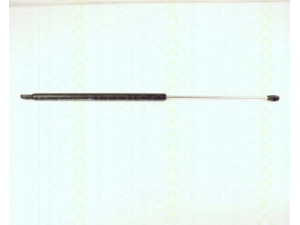 TRISCAN 8710 2405 dujinė spyruoklė, bagažinė