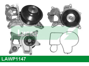 LUCAS ENGINE DRIVE LAWP1147 vandens siurblys 
 Aušinimo sistema -> Vandens siurblys/tarpiklis -> Vandens siurblys
11517823428, 11518512497, 11518516435