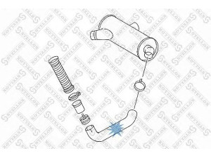 STELLOX 82-03586-SX išleidimo kolektorius
6454900219