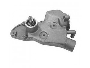 MAGNETI MARELLI 352316170912 vandens siurblys 
 Aušinimo sistema -> Vandens siurblys/tarpiklis -> Vandens siurblys
5019394, 88GX8591AA, EPW21, 120142