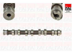 FAI AutoParts C306 skirstomasis velenas 
 Variklis -> Variklio uždegimo laiko reguliavimo kontrolė -> Skirstomasis velenas
24428752, 5636057, 636223, 55568430