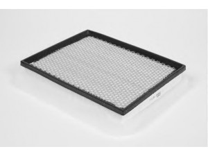 CHAMPION U794/606 oro filtras 
 Techninės priežiūros dalys -> Techninės priežiūros intervalai
5834040, 5834250