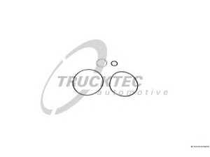 TRUCKTEC AUTOMOTIVE 02.43.031 tarpiklių rinkinys, hidraulinis siurblys
000 586 5246