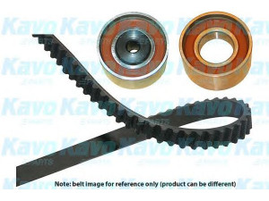 KAVO PARTS DKT-4519 paskirstymo diržo komplektas 
 Techninės priežiūros dalys -> Papildomas remontas