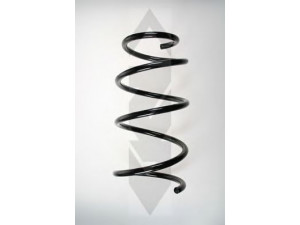 SPIDAN 85491 spyruoklė 
 Pakaba -> Spyruoklės
48131-13160