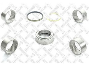 STELLOX 84-16077-SX remonto komplektas, pasukamojo kakliuko kaištis 
 Ašies montavimas/vairavimo mechanizmas/ratai -> Pasukamojo kakliuko remonto rinkinys -> Remonto komplektas, karbiuratorius
6553300519