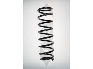 SPIDAN 55382 spyruoklė 
 Pakaba -> Spyruoklės
52441-S1A-E01