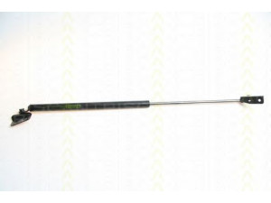 TRISCAN 8710 69211 dujinė spyruoklė, bagažinė 
 Priedai -> Bagažinė/pakrovimo skyrius
81860-75F00-000