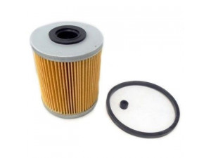 HOFFER 4229 kuro filtras 
 Techninės priežiūros dalys -> Papildomas remontas
190652, 190653, 190675, 1770A023
