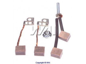 WAIglobal 68-7805 anglies šepetėlis, starteris