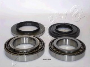 ASHIKA 44-25020 rato guolio komplektas
MT 321624
