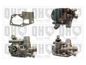 QUINTON HAZELL QCP539 vandens siurblys 
 Aušinimo sistema -> Vandens siurblys/tarpiklis -> Vandens siurblys
7700669703, 7701461173, 7701467546
