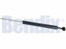 BENDIX 062549GB amortizatorius 
 Pakaba -> Amortizatorius