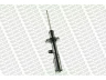 MONROE G16660 amortizatorius 
 Pakaba -> Amortizatorius
4851006050, 4851033030, 4851033040