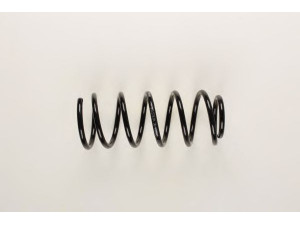 BILSTEIN 36-133949 spyruoklė 
 Pakaba -> Spyruoklės
90 445 182