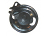 LIZARTE 04.75.0102 hidraulinis siurblys, vairo sistema 
 Vairavimas -> Vairo pavara/siurblys
49110-70N00, 49110-76J00