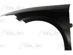 BLIC 6504-03-3542581P sparnas 
 Kėbulas -> Transporto priemonės galas -> Sparnas/montavimo dalys