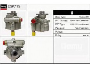DELCO REMY DSP719 hidraulinis siurblys, vairo sistema