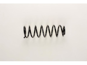 BILSTEIN 36-159208 spyruoklė 
 Pakaba -> Spyruoklės
1121913, YS 51 5560 AA