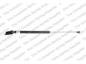 ROC GS1329 dujinė spyruoklė, bagažinė 
 Priedai -> Bagažinė/pakrovimo skyrius
GS1N62620C