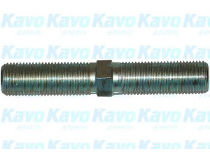 KAVO PARTS SAB-1001 varžtas, ratų reguliavimas 
 Vairavimas -> Sujungimo trauklės surinkimas/dalys -> Dalys, sujungimo trauklės sujungimas
07846696, 7846696, 90105358