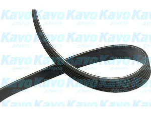 KAVO PARTS DMV-1539 V formos rumbuoti diržai 
 Techninės priežiūros dalys -> Techninės priežiūros intervalai
9004831065