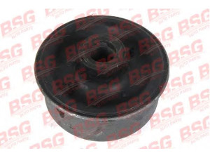 BSG BSG 30-700-153 valdymo svirties/išilginių svirčių įvorė 
 Ašies montavimas/vairavimo mechanizmas/ratai -> Valdymo svirtis/pasukamosios svirties sujungimas -> Montavimas/sutvirtinimas
1 035 929, 1035929, 91AB 3A262 AA