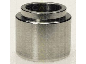 TRISCAN 8170 235434 stūmoklis, stabdžių apkaba