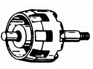 DELCO REMY 1894446 rotorius, kintamosios srovės generatorius
7N7800