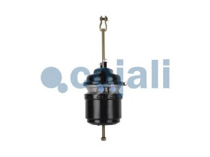 COJALI 2251531 spyruoklinis stabdžių cilindras