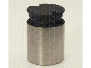 TRISCAN 8170 233419 stūmoklis, stabdžių apkaba