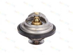 THERMOTEC D2IV004TT termostatas, aušinimo skystis 
 Aušinimo sistema -> Termostatas/tarpiklis -> Thermostat
4804321, 98432310, 98467516