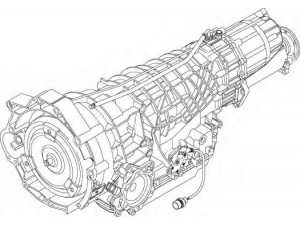 ZF 1058 020 024 automatinė pavarų dėžė 
 5 HP 24 A - AUDI_VW
01L 300 042J