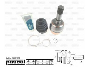 PASCAL G7X018PC kardaninis velenas
13166587, 374470, 374536, 9186550