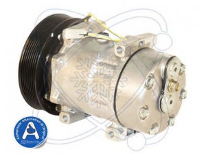 ELECTRO AUTO 20A8192A kompresorius, oro kondicionierius
5001867206, 5010605063, 748249298