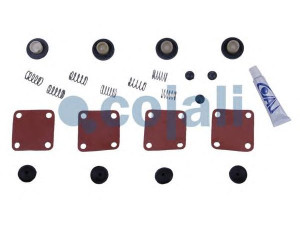 COJALI 6012134 remonto komplektas