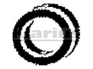 KLARIUS 420137 laikiklis, išmetimo sistema
5484441, 175524, 7910023091, 175524