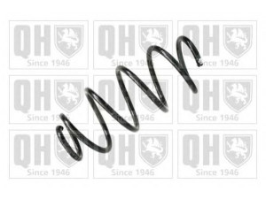 QUINTON HAZELL QCS6349 spyruoklė 
 Pakaba -> Spyruoklės
6R0 411 105 AE, 6R0 411 105 AE