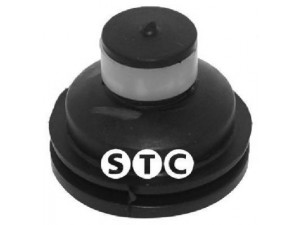 STC T405784 variklio montavimas 
 Variklis -> Variklio montavimas -> Variklio montavimo rėmas
77 01 056 972