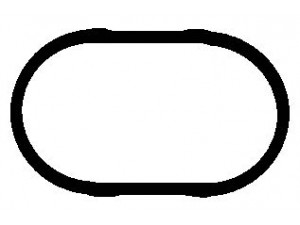 ELRING 888.524 tarpiklis, įsiurbimo kolektorius 
 Variklis -> Cilindrų galvutė/dalys -> Įsiurbimo kolektoriaus tarpiklis/sandarinimo žiedas
1 720 740, 11 61 1 720 740