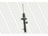 MONROE G16275 amortizatorius 
 Pakaba -> Amortizatorius
1073878, 1073884, 1073885, 1073887