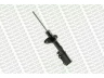 MONROE G16660 amortizatorius 
 Pakaba -> Amortizatorius
4851006050, 4851033030, 4851033040