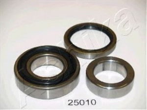 ASHIKA 44-25010 rato guolio komplektas 
 Ašies montavimas/vairavimo mechanizmas/ratai -> Rato stebulė/montavimas -> Rato guolis
MB393210
