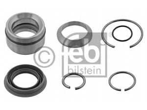 FEBI BILSTEIN 46169 remonto komplektas, posvyrio cilindras
1392 399