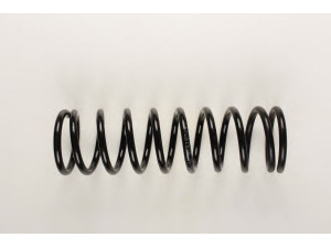 BILSTEIN 36-154203 spyruoklė 
 Pakaba -> Spyruoklės
460 321 04 04