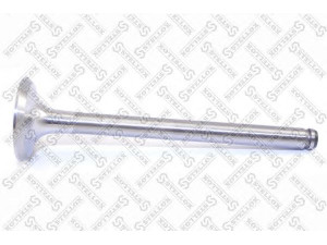 STELLOX 01-24246-SX išleidimo vožtuvas 
 Variklis -> Variklio uždegimo laiko reguliavimo kontrolė -> Vožtuvų eilė -> Vožtuvai/dalys
7701468193, 7701468623, 7701469193